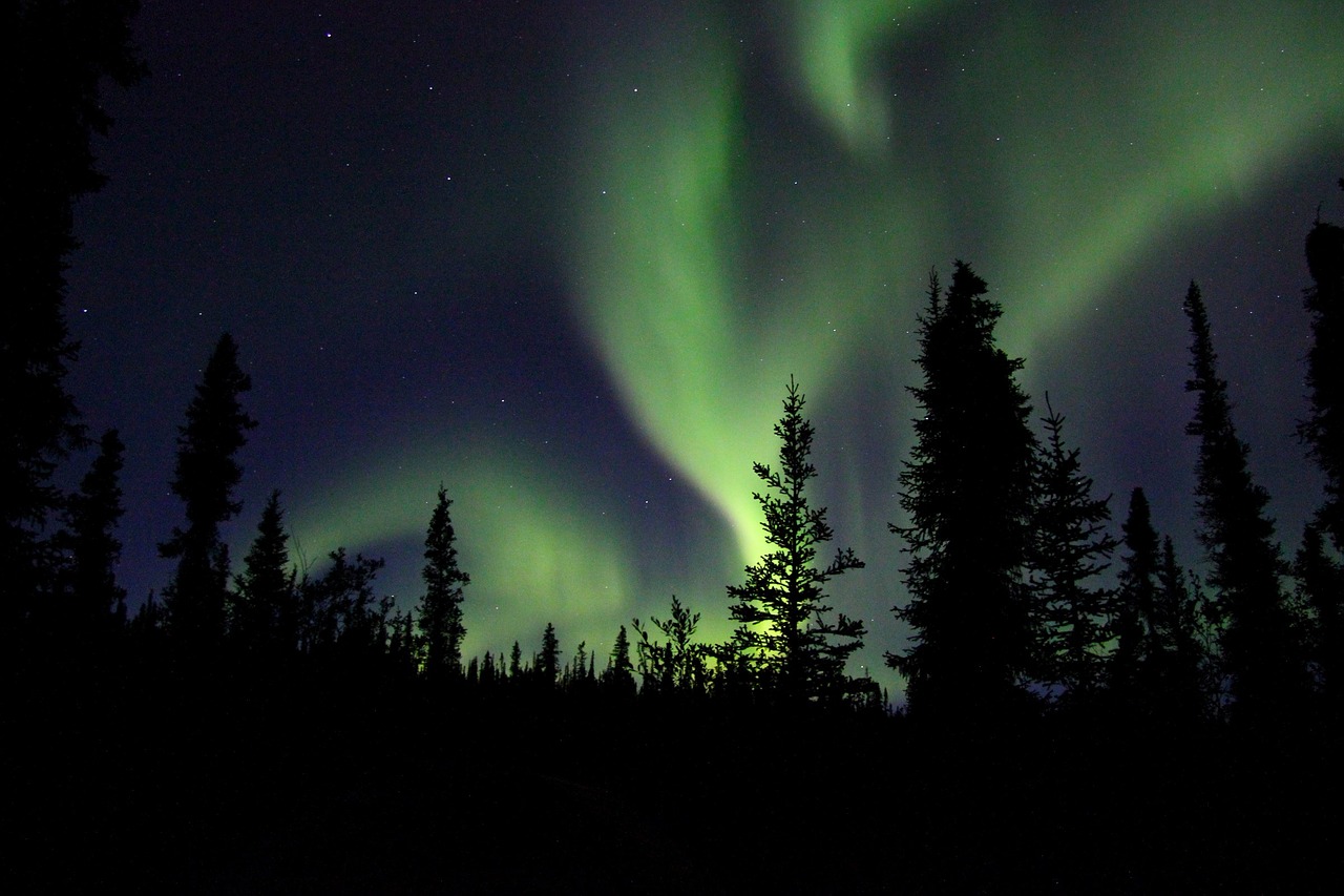 aurora borealis northern lights sky free photo