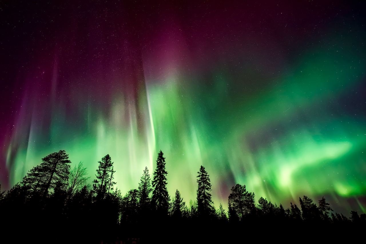 aurora borealis northern lights forest free photo
