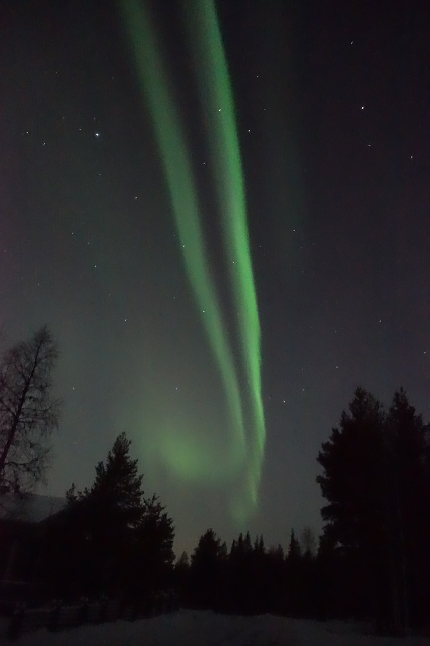 aurora borealis lapland the northern lights free photo