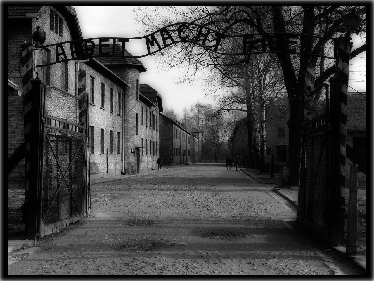 auschwitz history concentration camp free photo