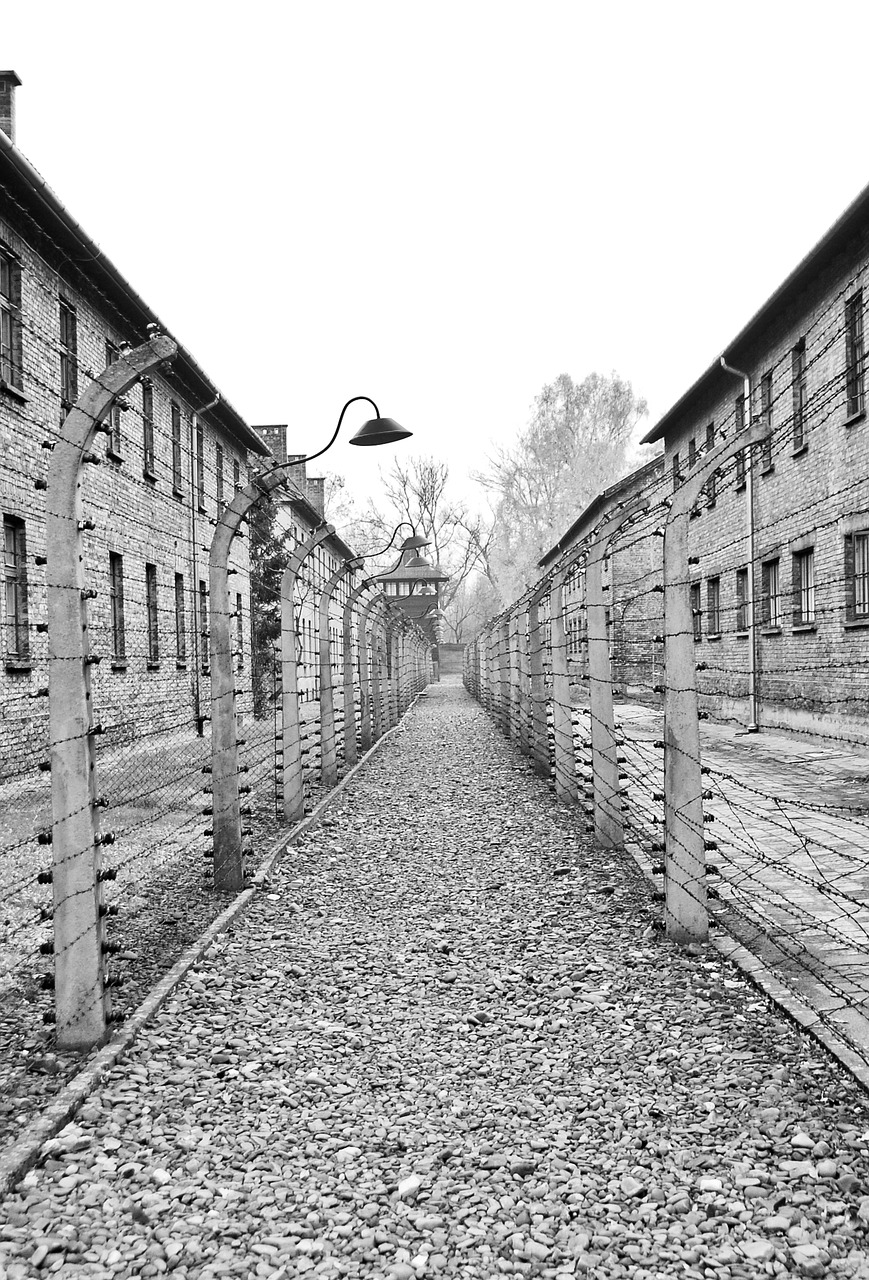 auschwitz camp holocaust free photo