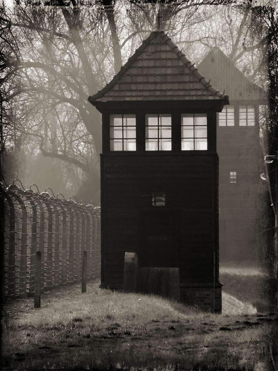 auschwitz camp concentration camp free photo
