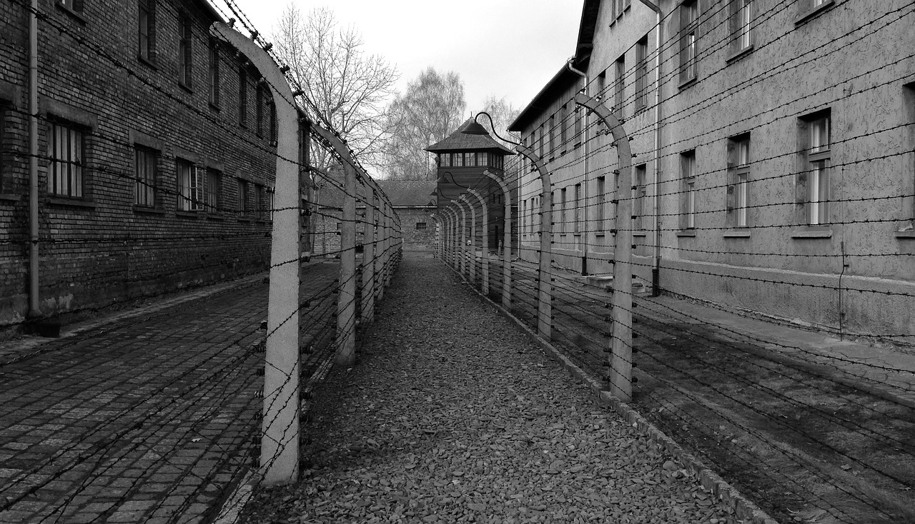 auschwitz camp concentration camp free photo
