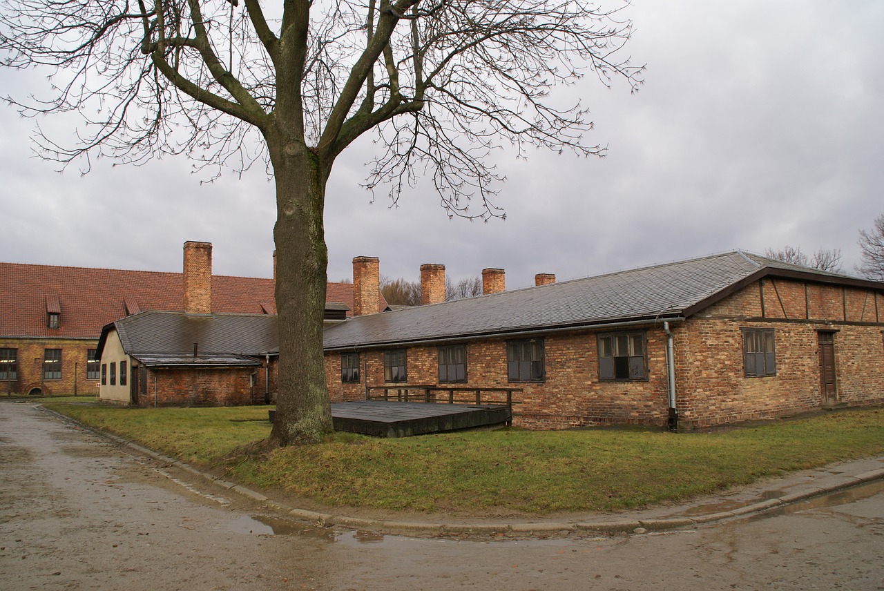 auschwitz concentration camp second world war free photo