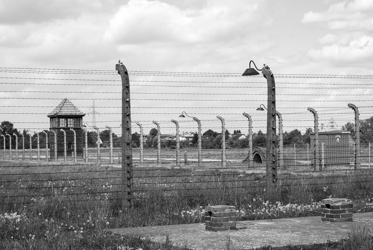 auschwitz  birkenau  the holocaust free photo