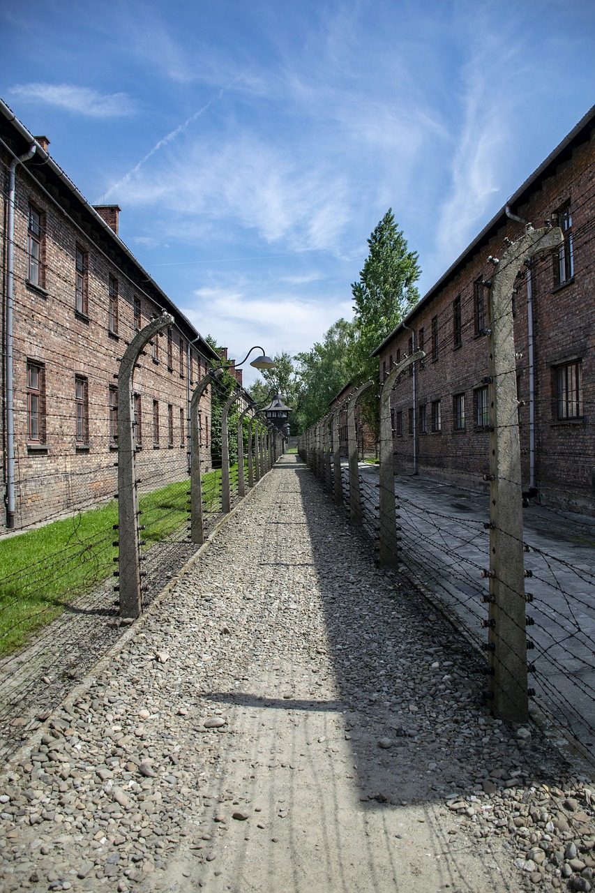 auschwitz  criminal camp  death camp free photo