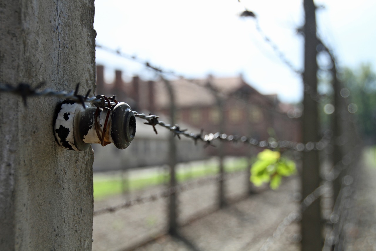 auschwitz poland war free photo