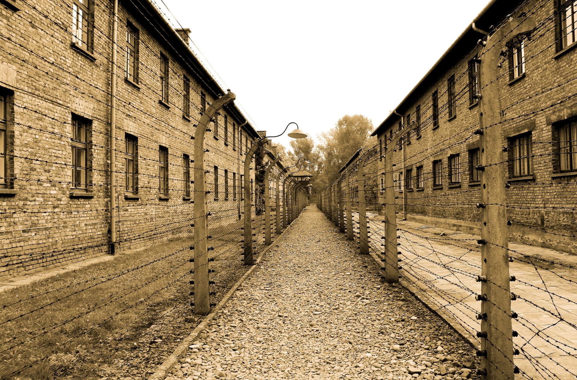 auschwitz extermination camp free photo