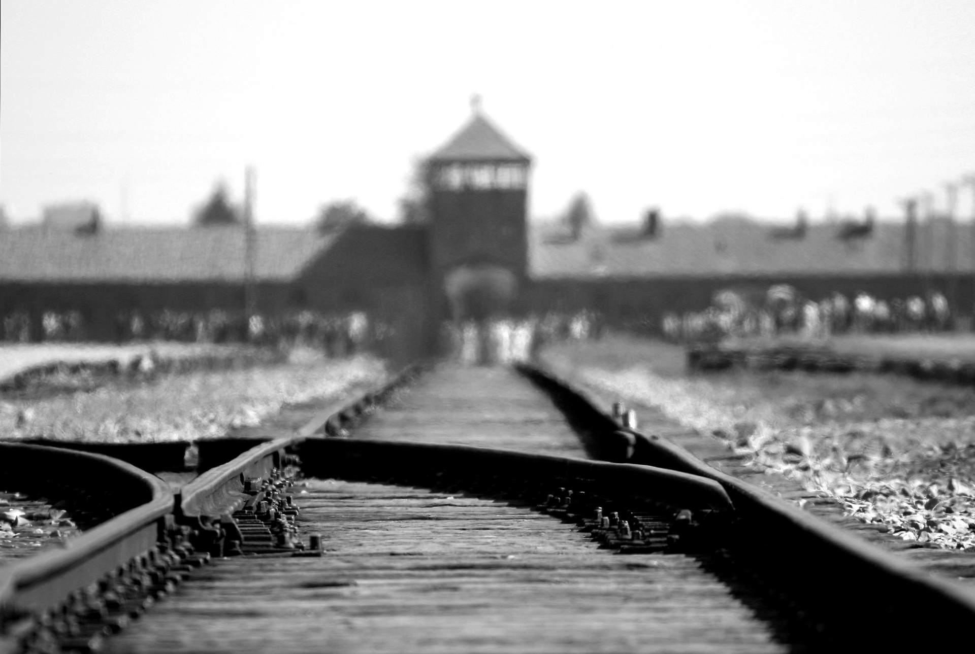 total extermination camps free photo