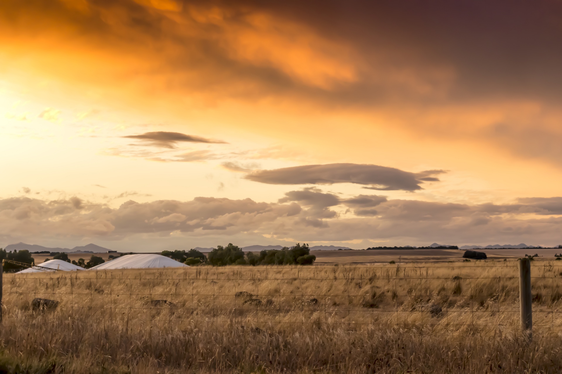 australia agriculture farming free photo