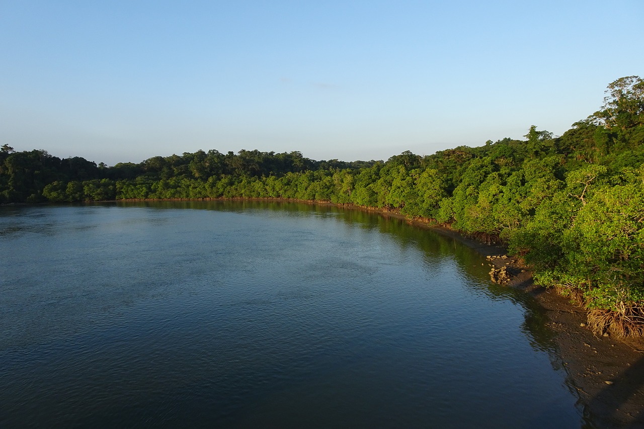 austen strait  andaman  flora free photo