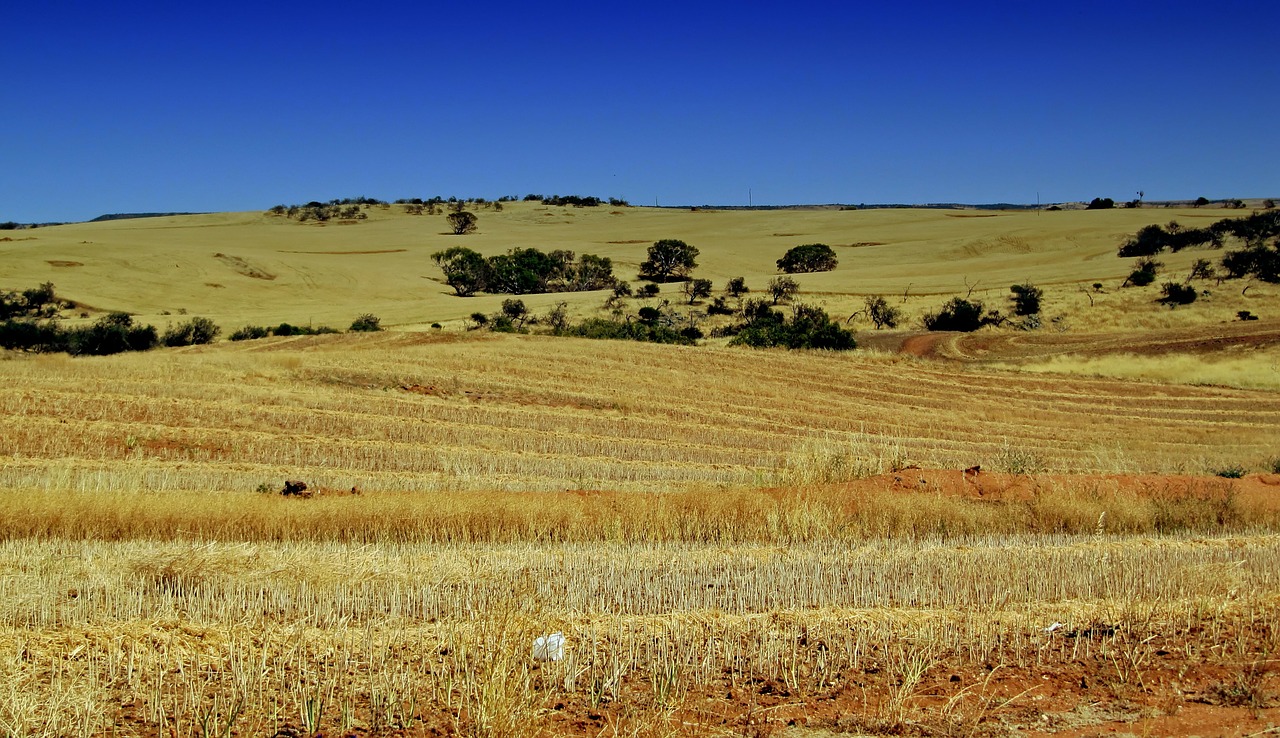 australia farm rural free photo
