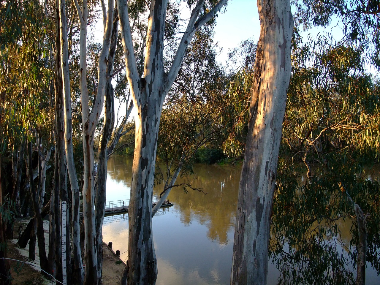 australia yarra river melbourne free photo