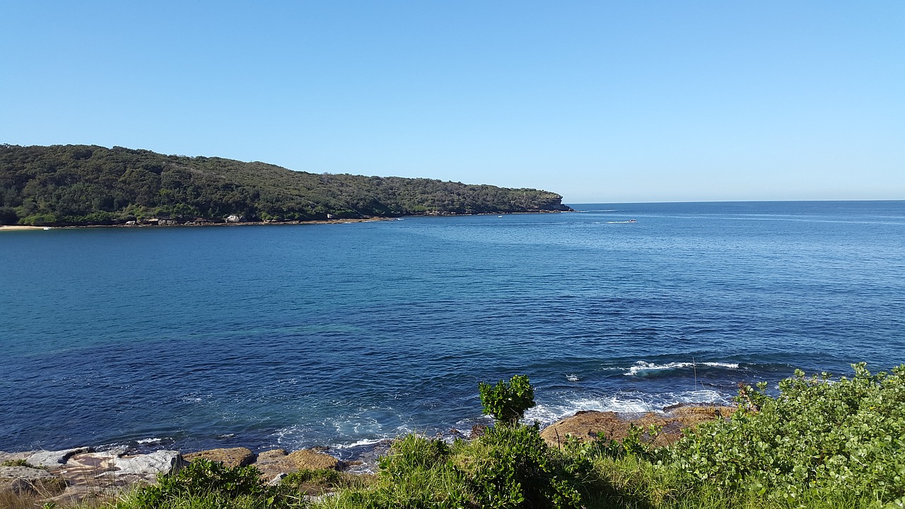 australia nature sea free photo