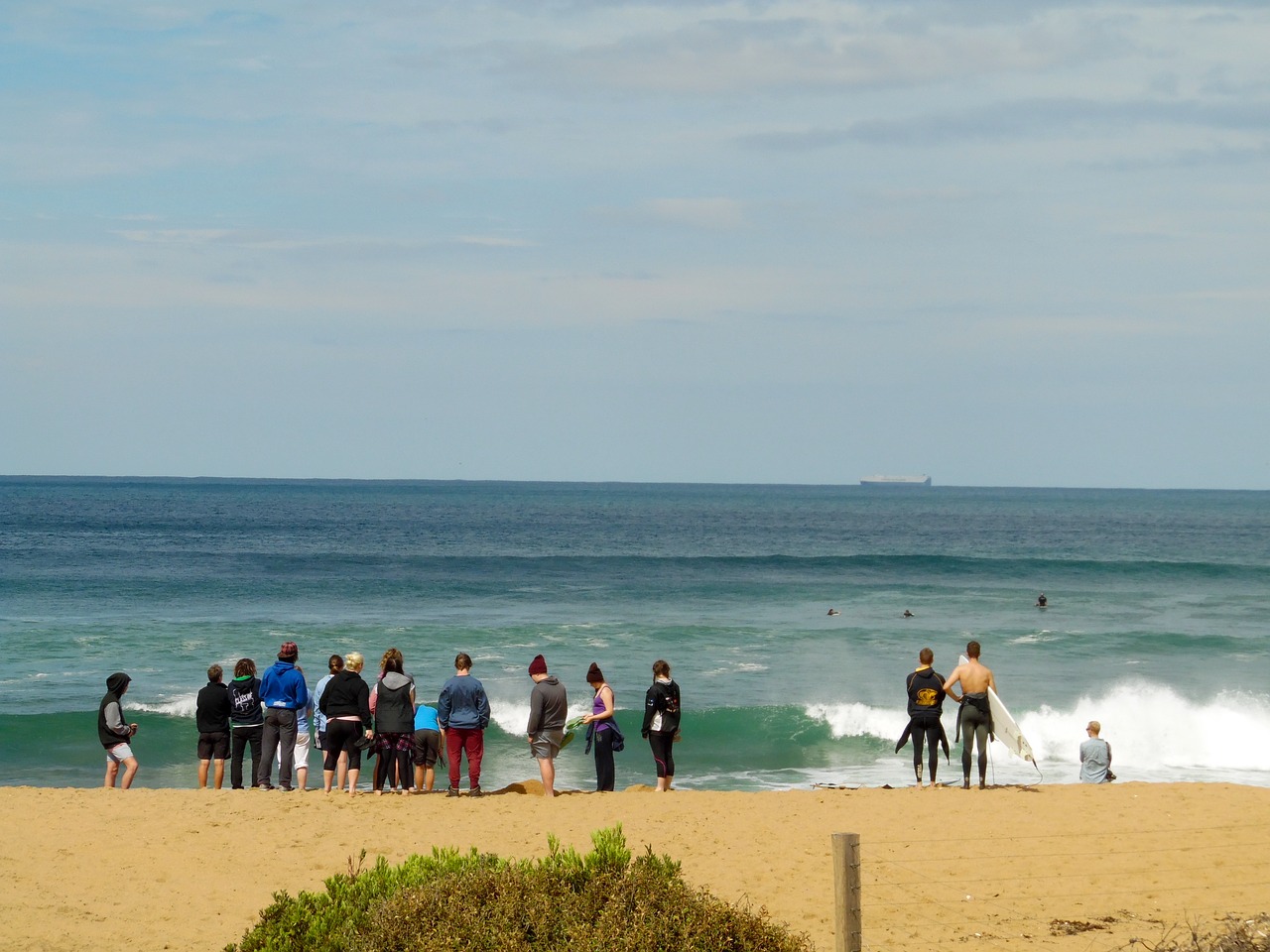 australia surf wave free photo