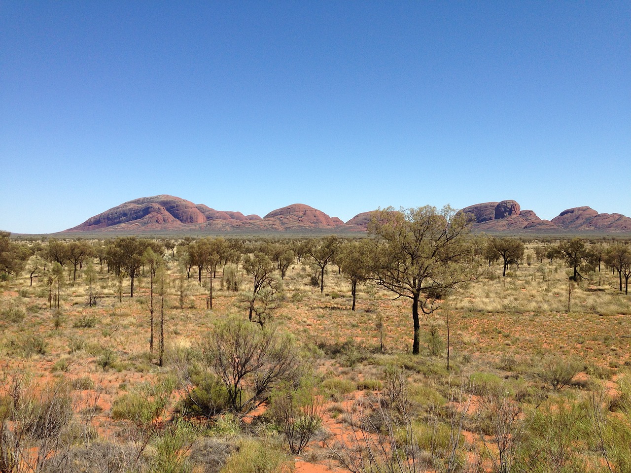 australia mountain nature free photo