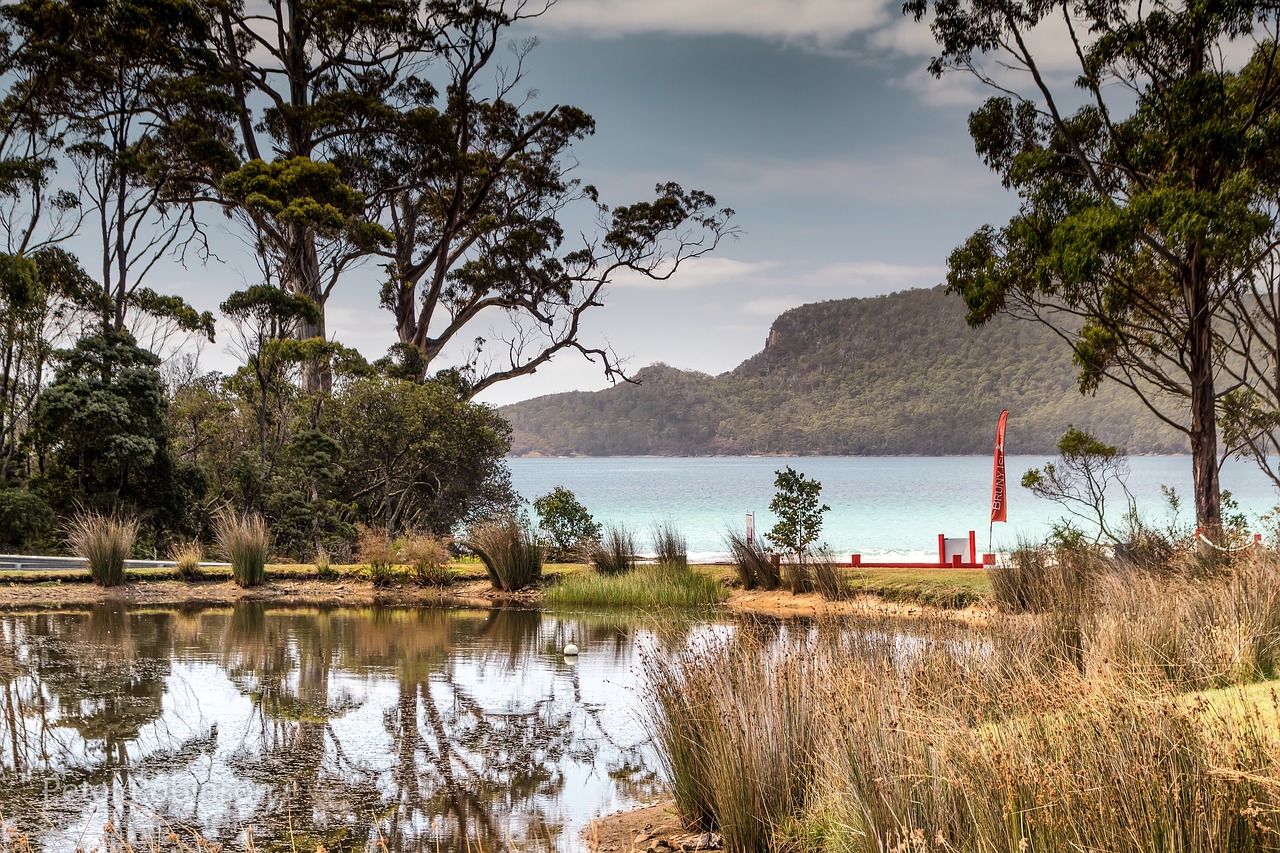 australia brunie island tasmania free photo