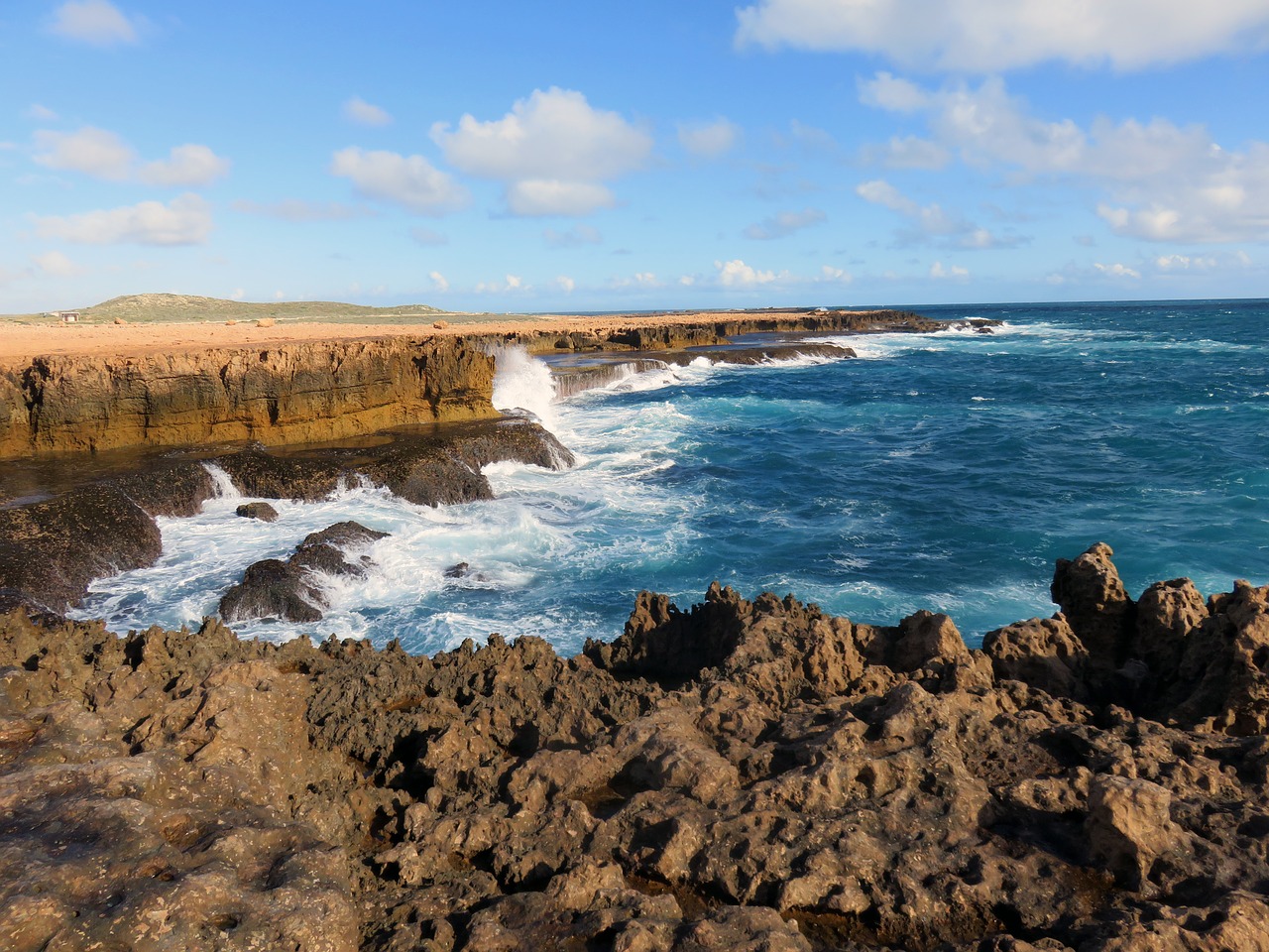 australia coast nature free photo