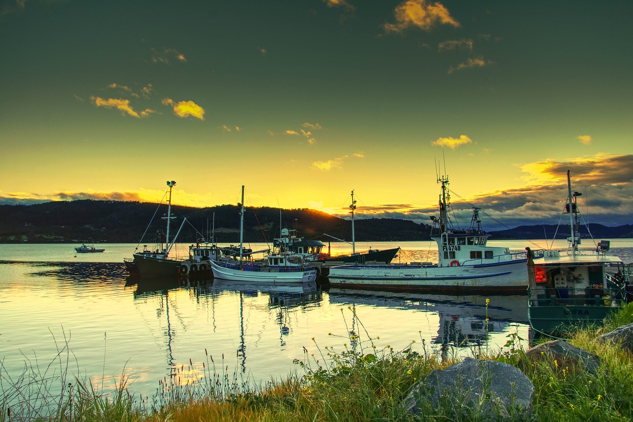 australia tasmania gemalla road northwest bay free photo