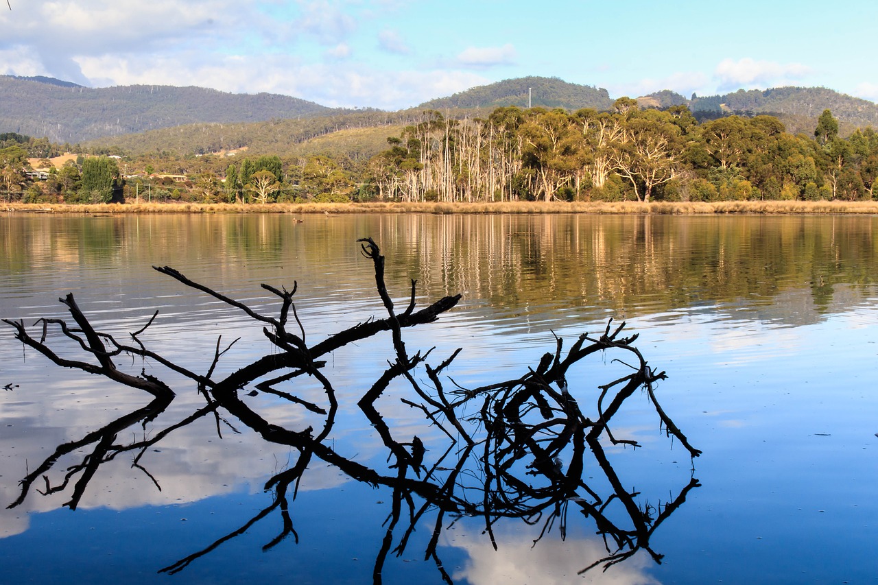 australia tasmania north west bay free photo