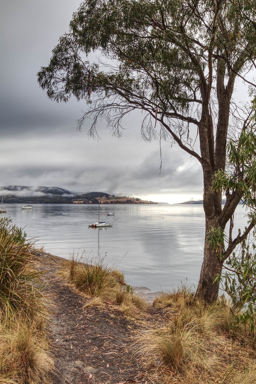 australia tasmania north west bay free photo