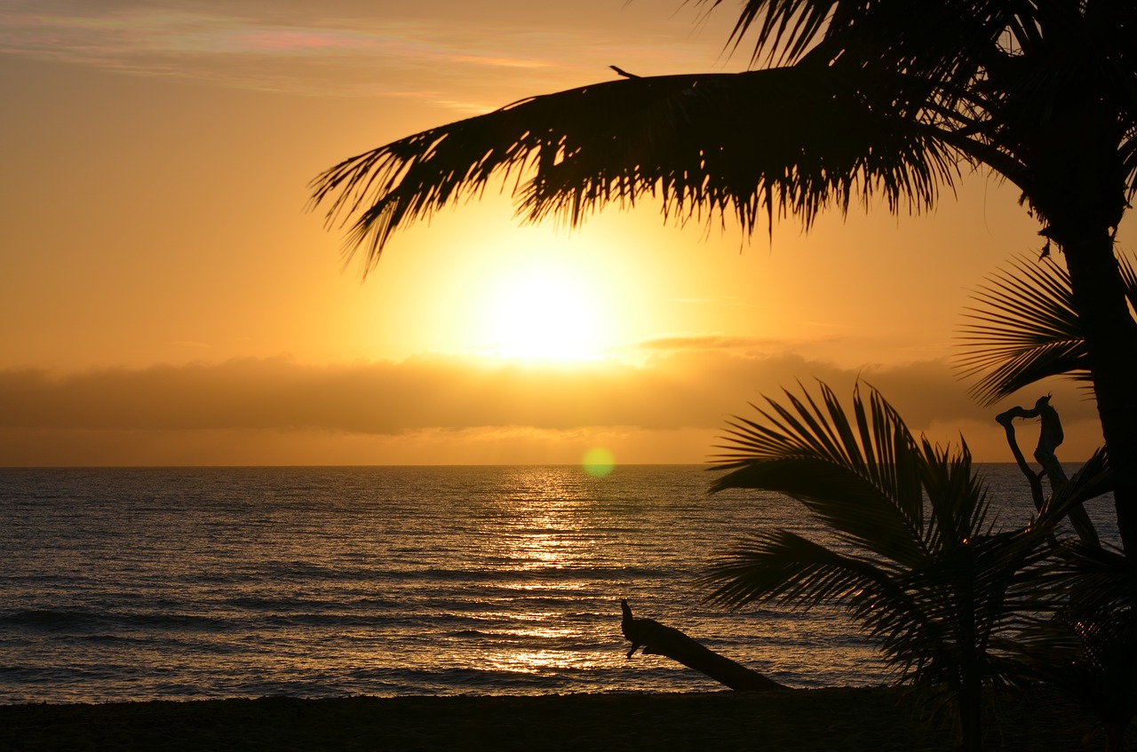 australia  sunset  romantic free photo