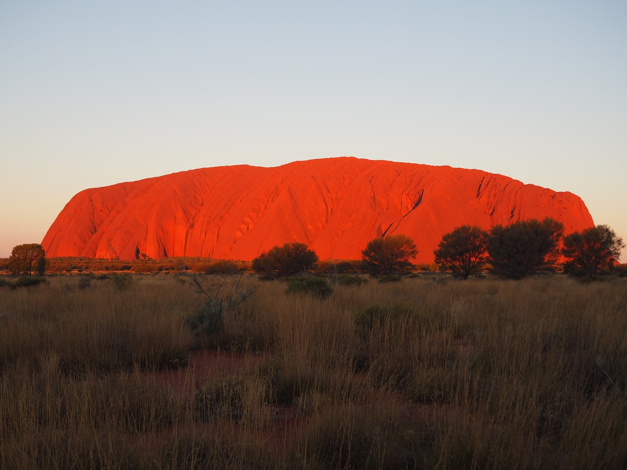 australia  sunset  uluru free photo