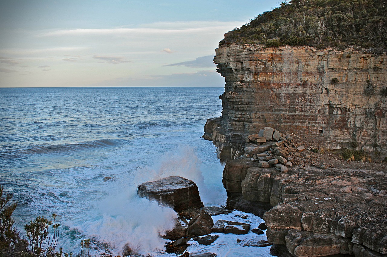 australia  tasmania  nature free photo