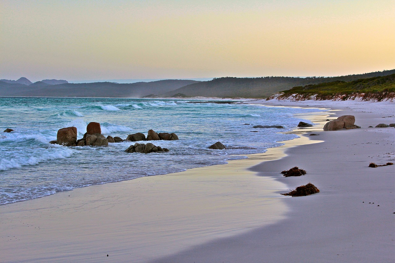 australia  tasmania  nature free photo