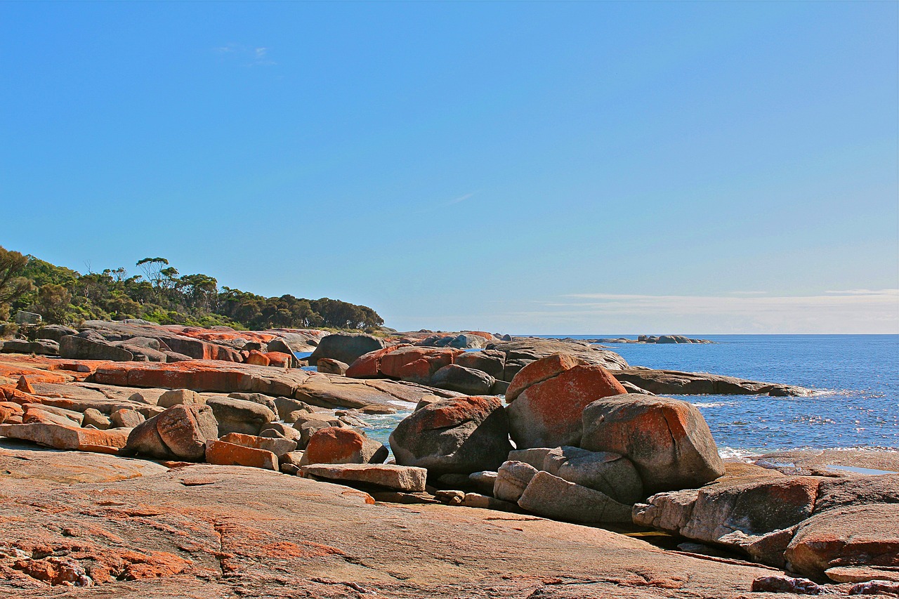 australia  tasmania  nature free photo