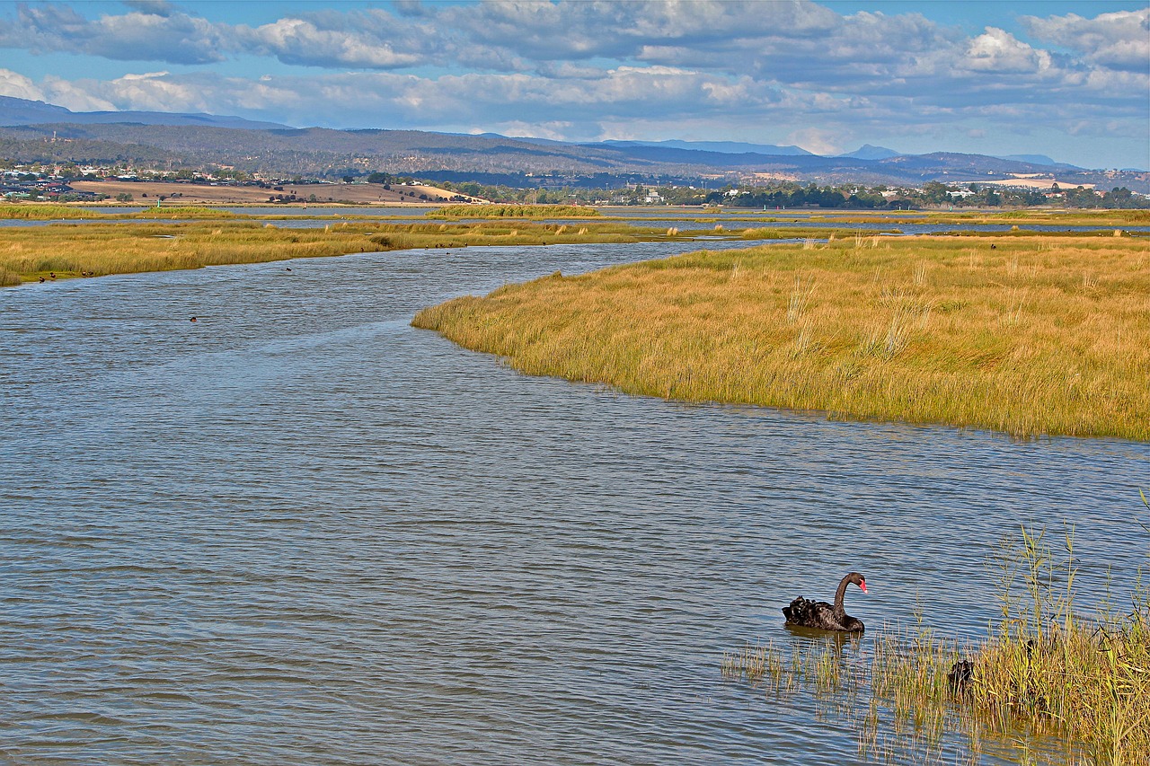 australia  tasmania  nature free photo