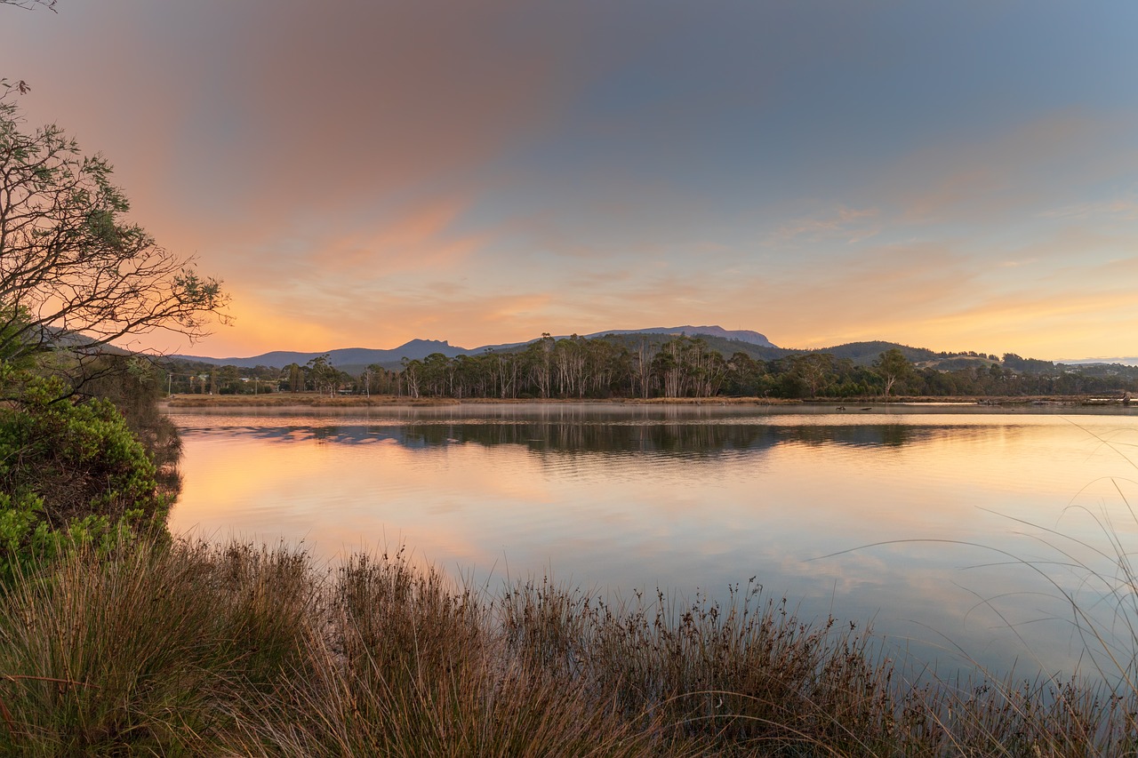 australia  tasmania  north west bay free photo