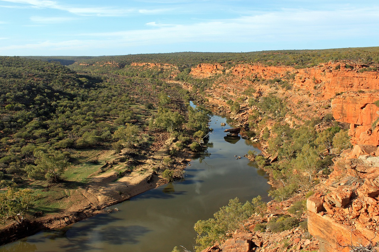 australia outback river free photo