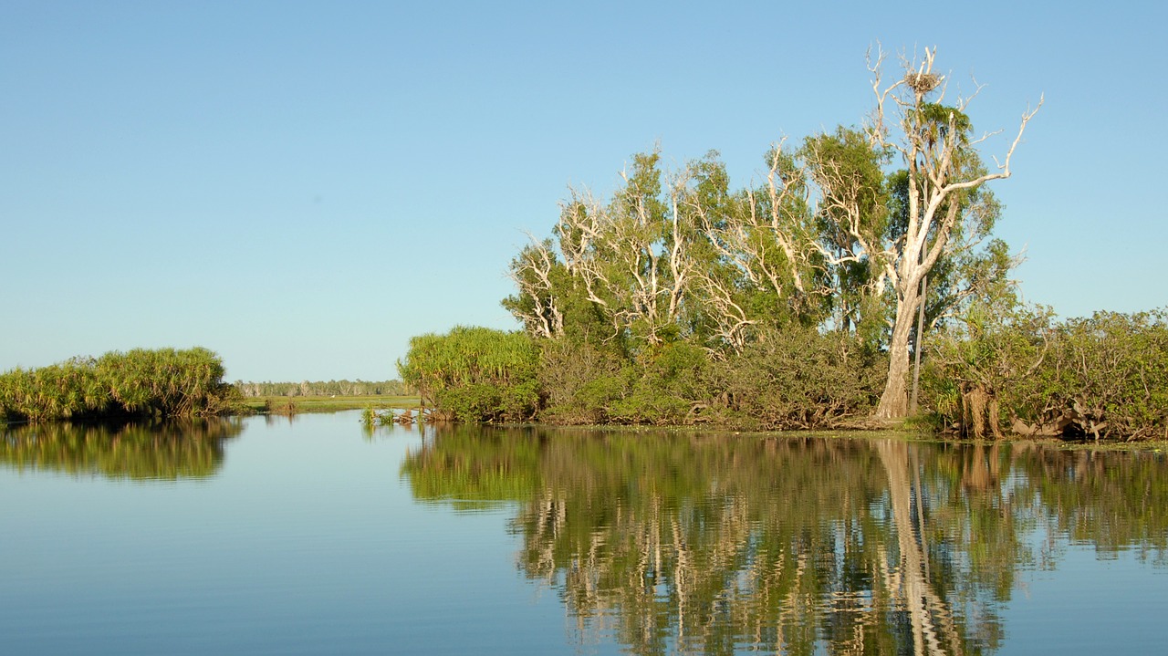 australia kakadu national park yellow river free photo