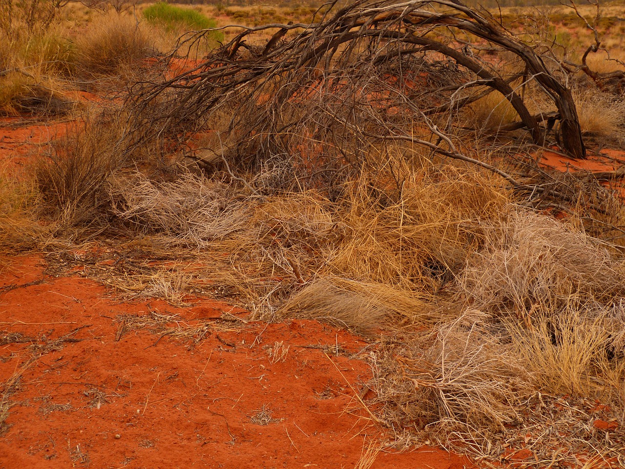 australia uluru ayersrock free photo