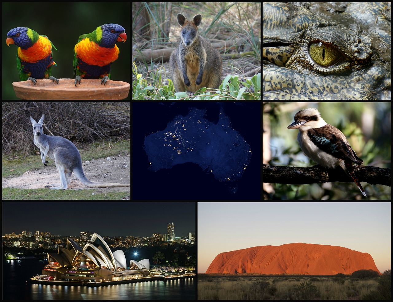 australia collage images iconic free photo