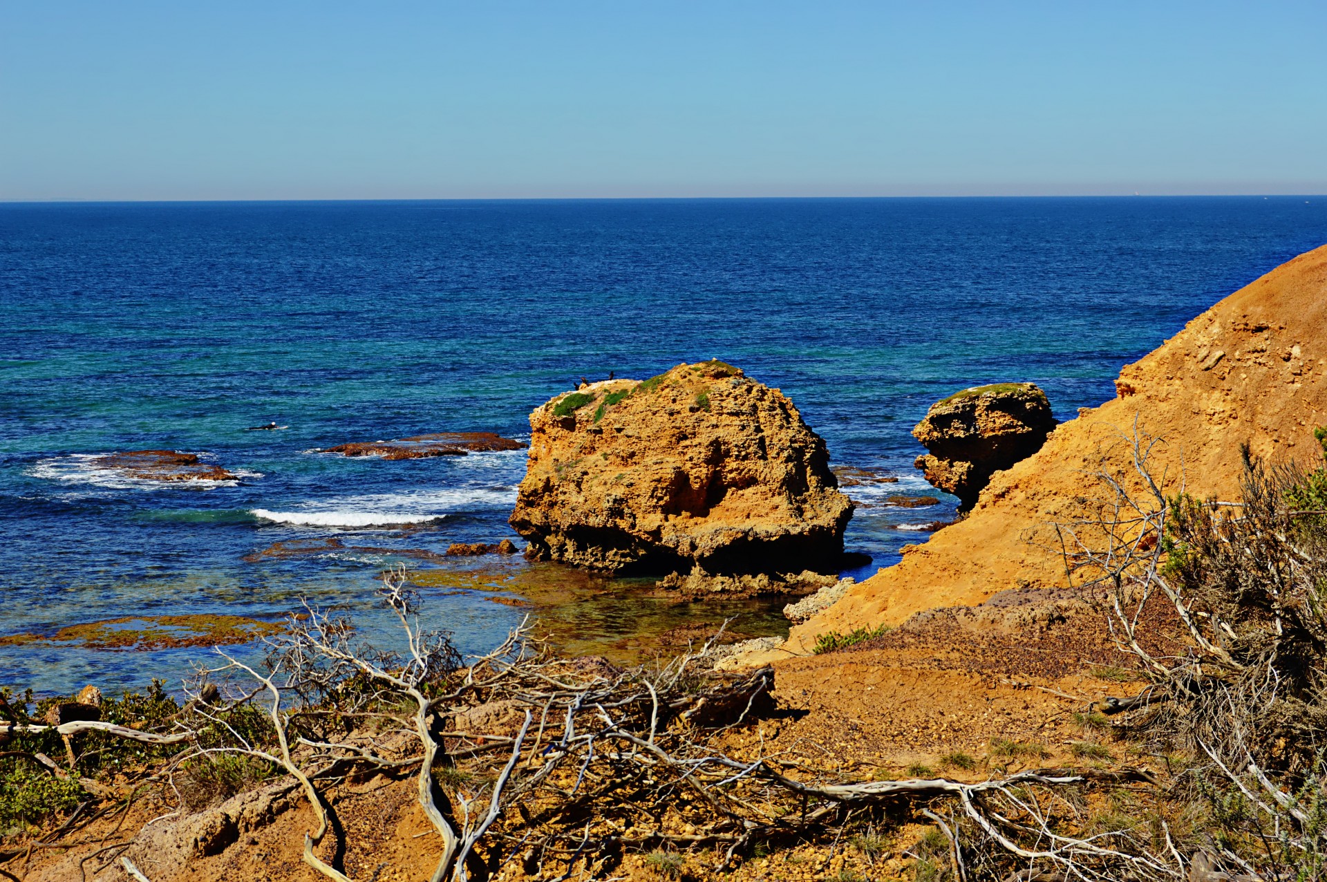 coast beach australia free photo