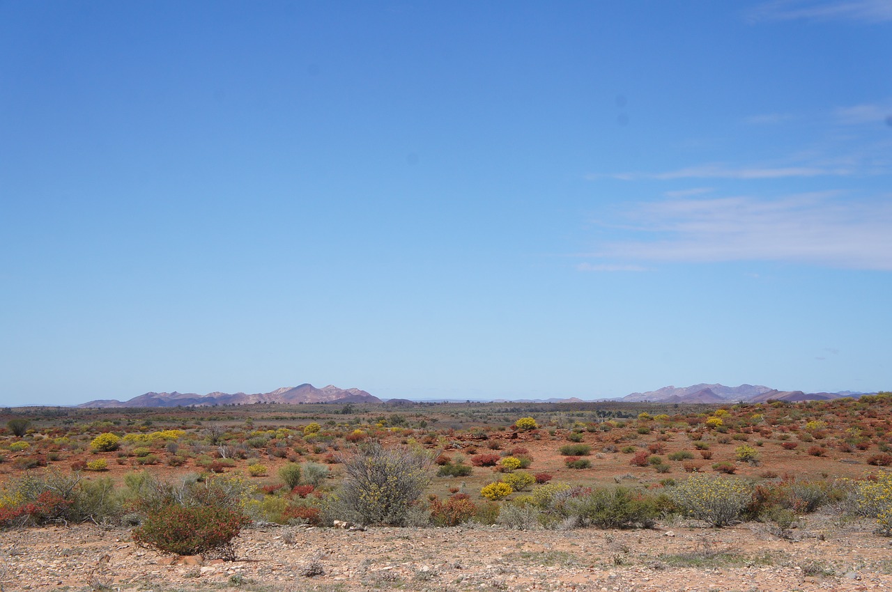 australian desert  outback australia  landscape free photo