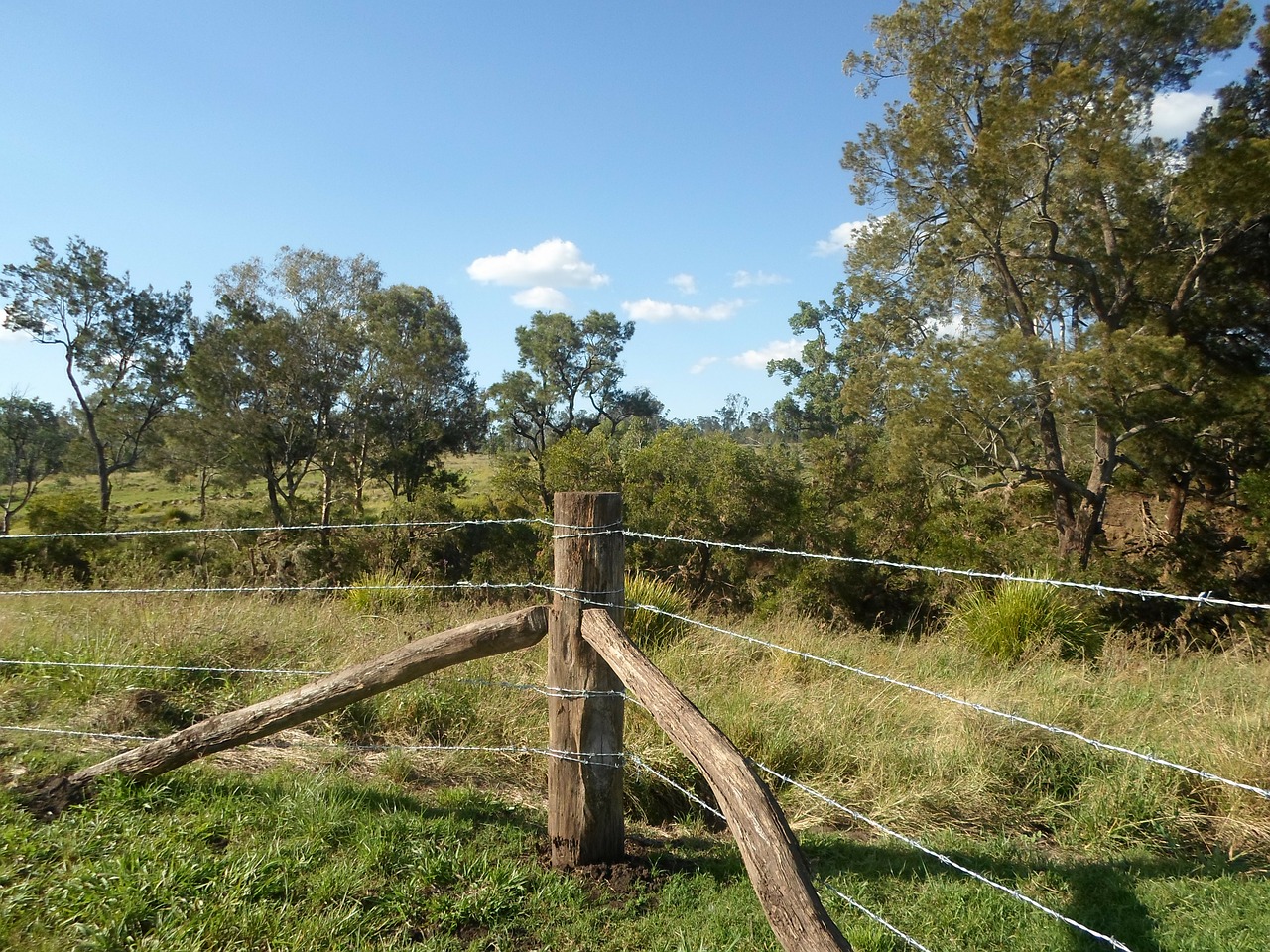 australians fence landscape free photo
