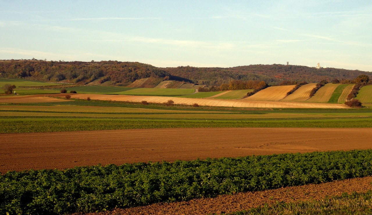 austria fields vyinohrady free photo