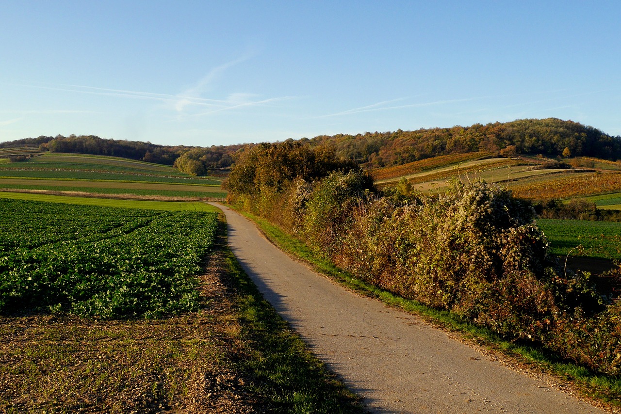 austria burgenland path free photo