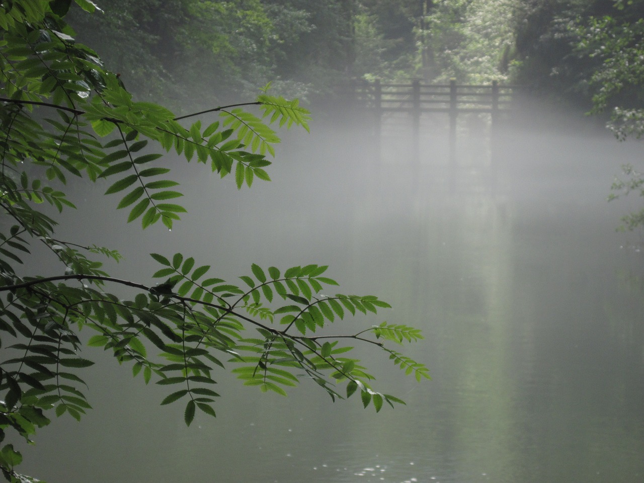 austria water fog free photo