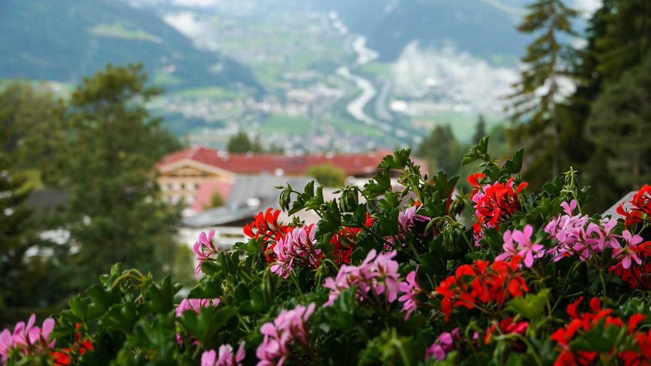 austria mountain nature free photo