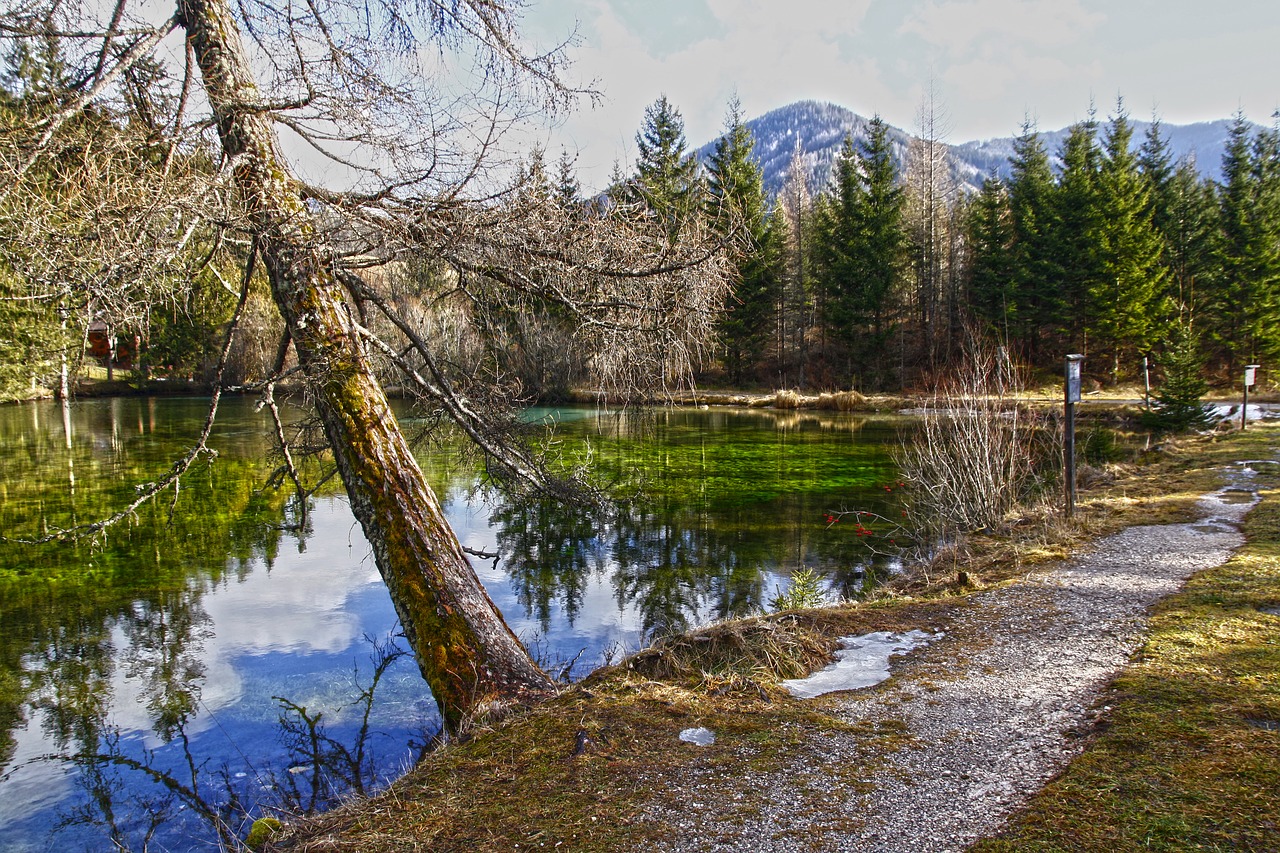 austria styria green lake free photo