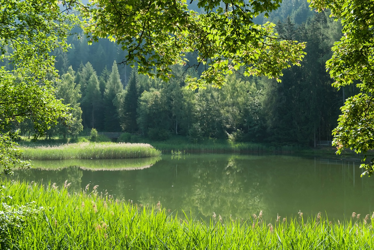 austria pond water free photo
