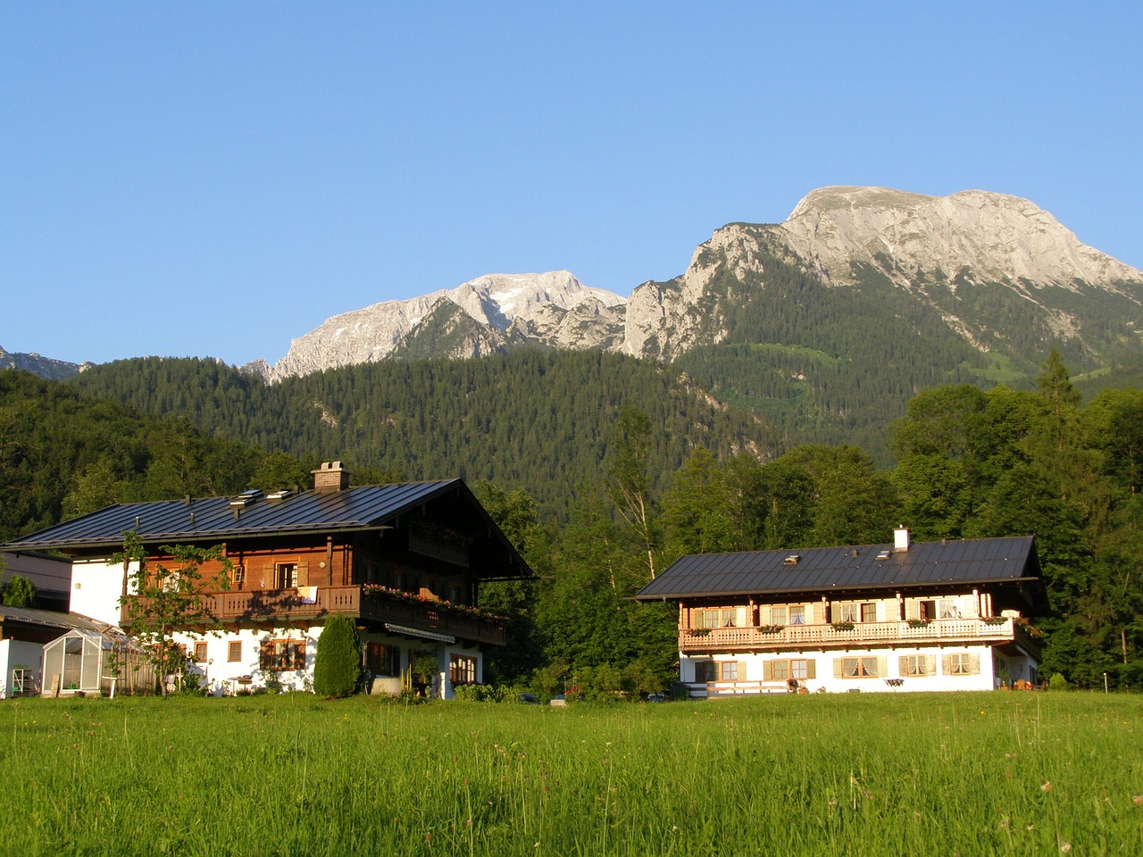 austria grass europe free photo