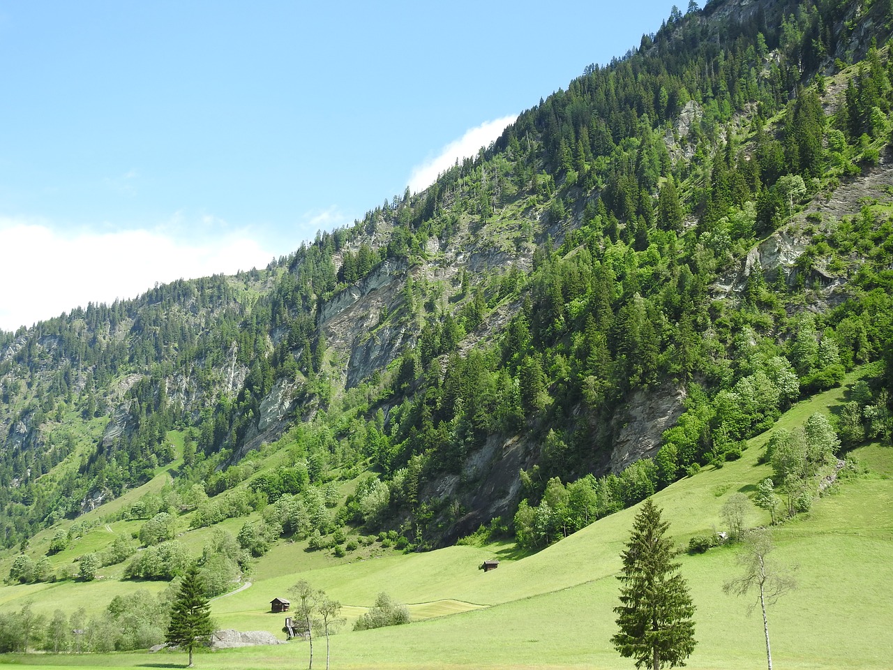 austria mountains meadow free photo