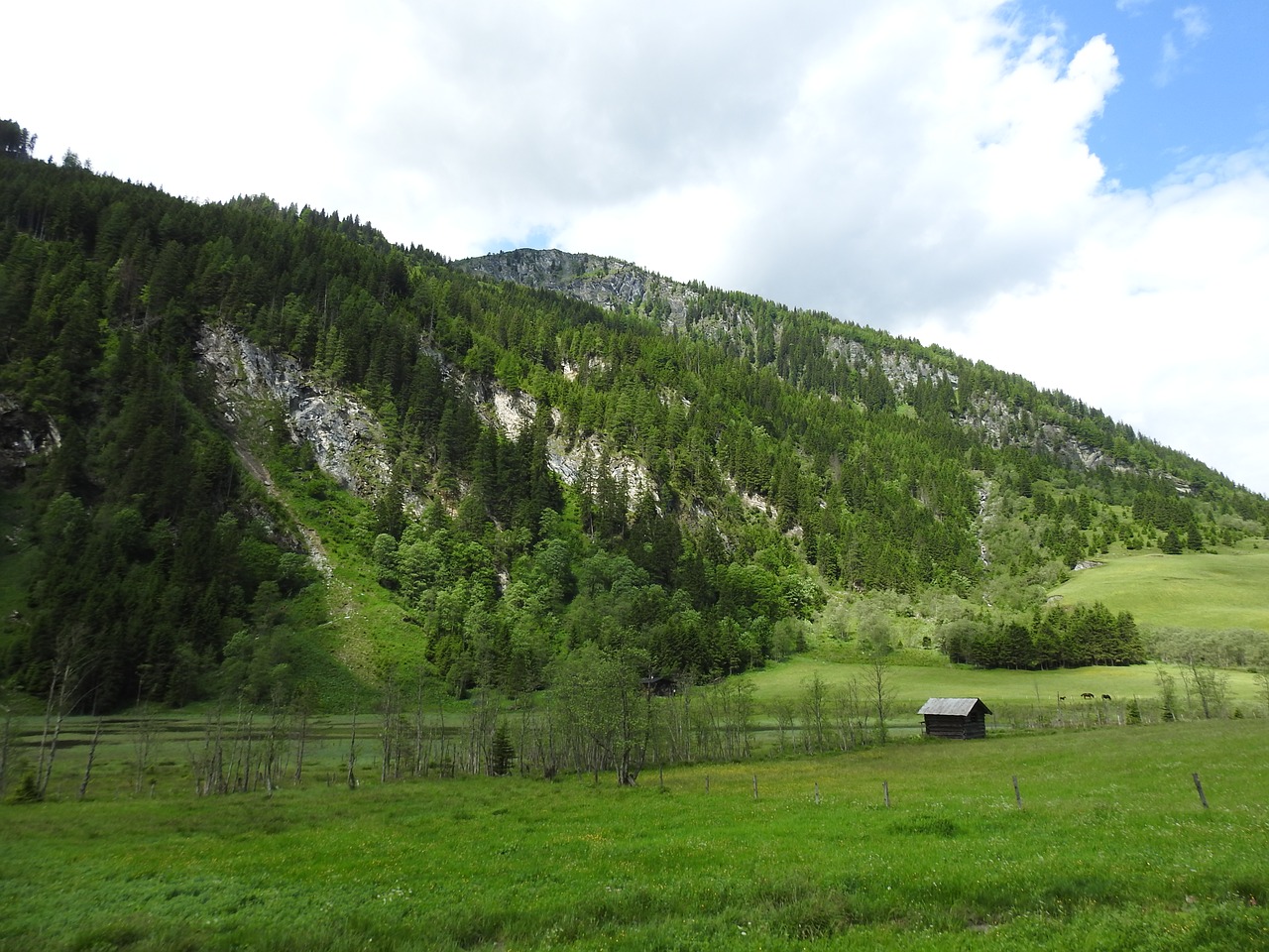 austria mountains meadow free photo