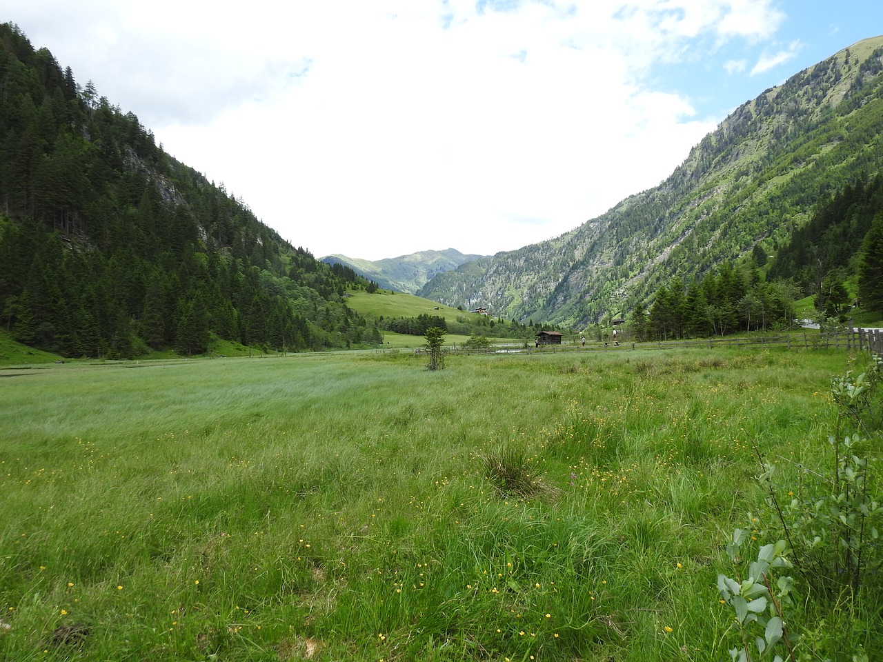 austria mountains meadow free photo