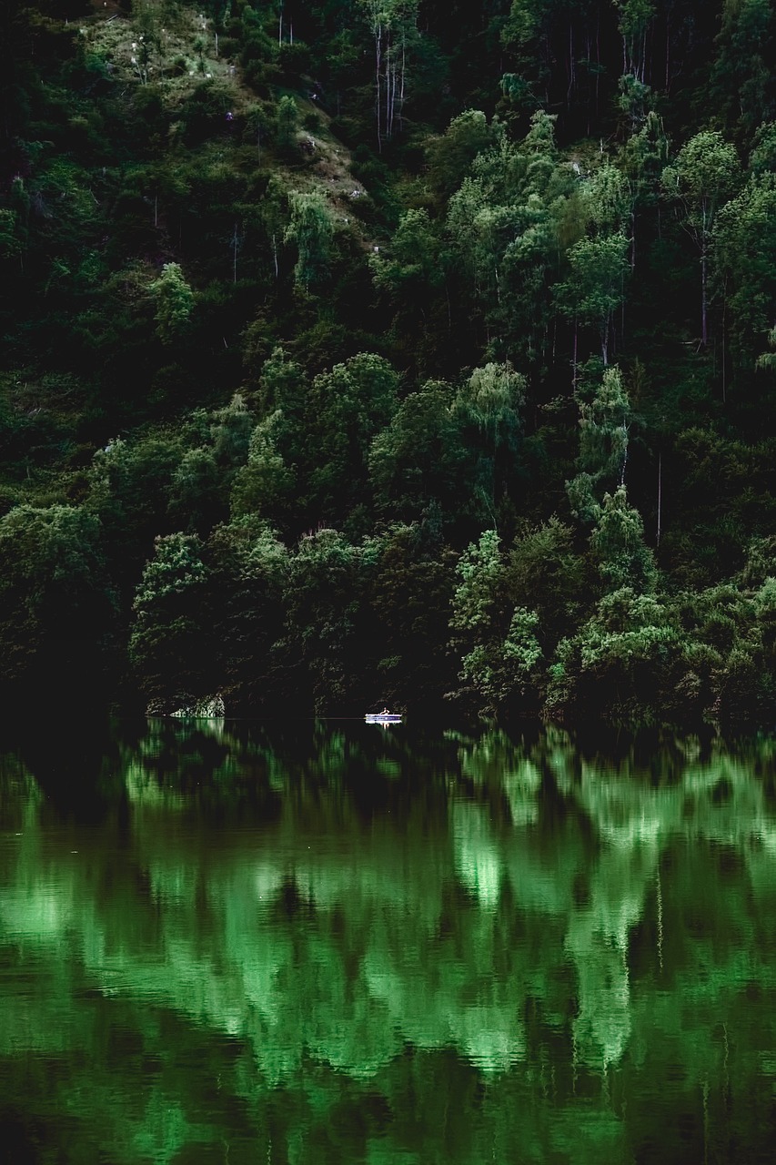 austria landscape river free photo